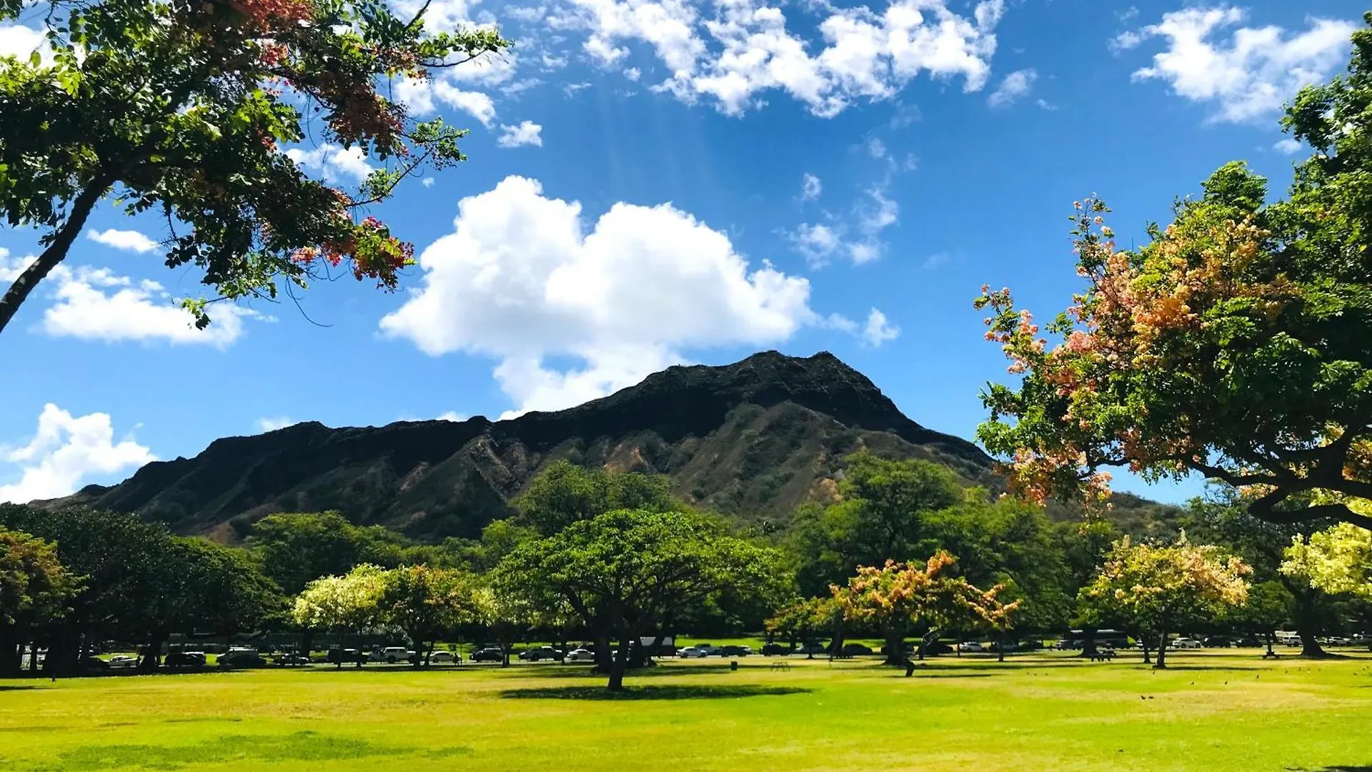 Royal Kuhio 1710 - Spacious Studio With Stunning Ocean City Views In The Heart Of Waikiki! Honolulu
